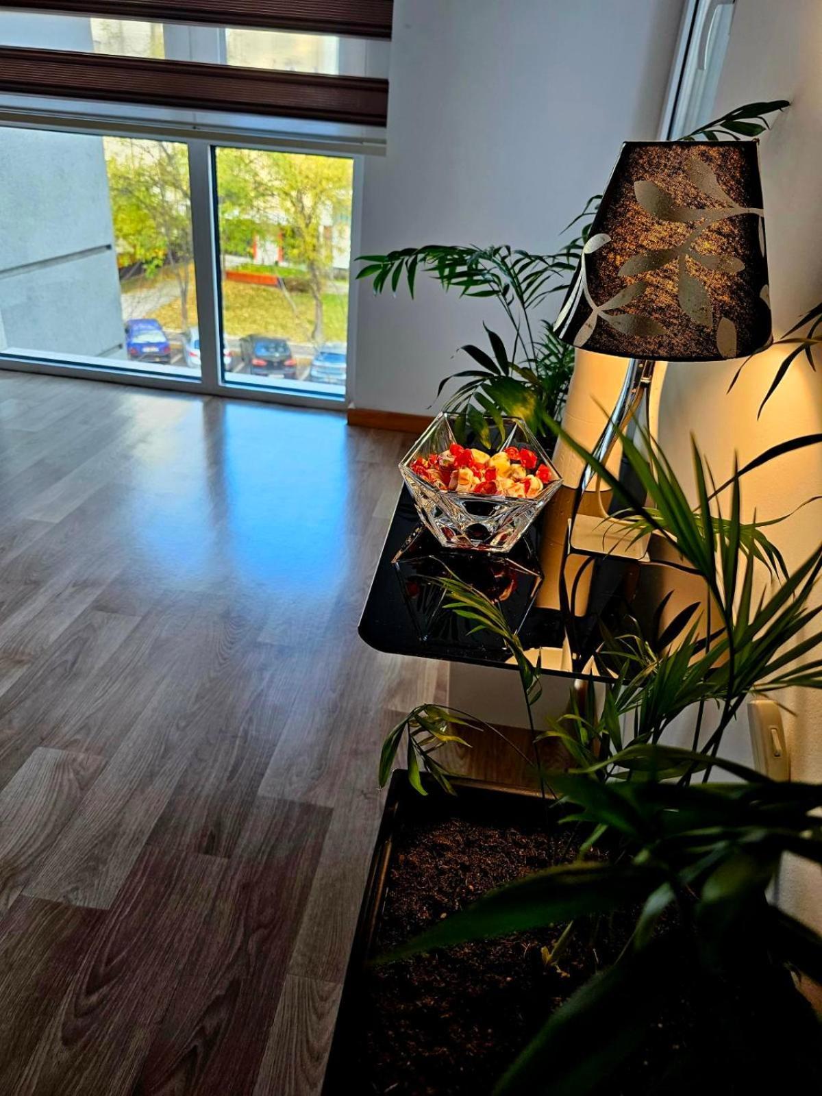Eva'S Premium Apartments Skopje Zewnętrze zdjęcie